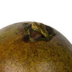 Vickerman 1"-2" Quinto Ball Vase Filler, Dried