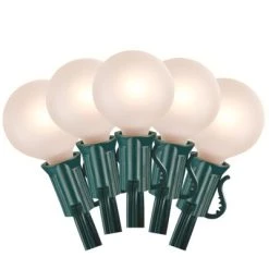 Champ Celebrations Celebrations Incandescent G40 Globe White 25 ct String Christmas Lights 24 ft.