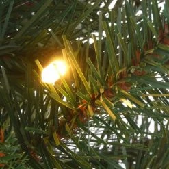 National Tree Company First Traditions 4' Pre-Lit LED Feel Real Scotch Creek Fir Potted Artificial Christmas Tree White Lights -Outdoor Christmas Decorations Sales GUEST a9a14b1b f53f 4218 8470 030564f3dfc8