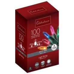 Champ Celebrations Celebrations Stay Shine Incandescent Mini Multicolored 100 ct String Christmas Lights 33 ft.