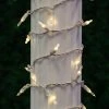 Novelty Lights Inc Novelty Lights 35 light T5 Traditional LED Christmas Mini Light Set (White Wire, 11.5 Feet) -Outdoor Christmas Decorations Sales GUEST b817e30b abf6 4f39 abf7 9f229952db66