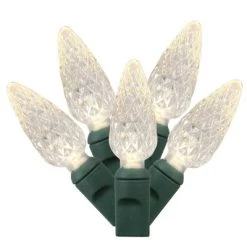 Vickerman Single Mold C6 LED Christmas Light Set 25' Poly Bag Green Wire