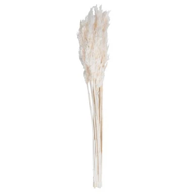 Vickerman 36"-40" Plume Reed Bundle, Preserved 13 Vickerman 36"-40" Plume Reed Bundle, Preserved - Image 11