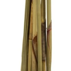 Vickerman Platy Cone attached to a Reed Stem, Dried 11 Vickerman Platy Cone attached to a Reed Stem, Dried -Outdoor Christmas Decorations Sales GUEST c5e52d03 8c1a 4811 a474 66f2f0acb301 1