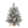 Transpac Artificial 24 in. Multicolor Christmas Frosted Tree in Bag Base 1 Transpac Artificial 24 in. Multicolor Christmas Frosted Tree in Bag Base -Outdoor Christmas Decorations Sales GUEST d38fe0ec 2691 4a2f acd9 0fca2abb83b9