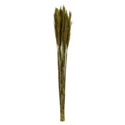 Vickerman 36"-40" Plume Reed Bundle, Preserved 22 Vickerman 36"-40" Plume Reed Bundle, Preserved -Outdoor Christmas Decorations Sales GUEST d454b7f3 bcc0 4fba 87a7 957262a31dad