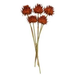 Vickerman 15" Artichoke Head with Reed Stem, Dried 19 Vickerman 15" Artichoke Head with Reed Stem, Dried -Outdoor Christmas Decorations Sales GUEST d87c3496 6c98 43ad af66 411ec77988f1 1
