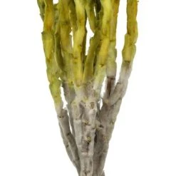 Vickerman 13-14" Natural Everlasting Flowers, Dried 11 Vickerman 13-14" Natural Everlasting Flowers, Dried -Outdoor Christmas Decorations Sales GUEST d98fc672 49c6 4a5d bfb9 3ace71e9aede