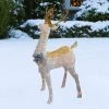 Northlight 48" White and Gold Lighted Standing Buck Outdoor Christmas Decor -Outdoor Christmas Decorations Sales GUEST dd090eeb 6ef7 4f2e aee3 395bd7fc841c
