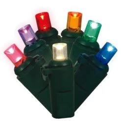 Vickerman 200Lt LED Wide Angle LED Christmas Light Set