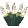 Brite Star 100ct Mini Christmas Lights Clear - 49.6' Green Wire -Outdoor Christmas Decorations Sales GUEST e3d6332b d9e8 4ec6 8b24 069e09bde35c