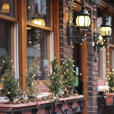 Northlight 100ct Decorative Mini Christmas Lights Clear - 20.25' Green Wire 3 Northlight 100ct Decorative Mini Christmas Lights Clear - 20.25' Green Wire