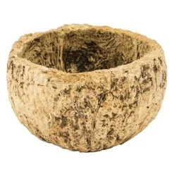 Vickerman all Natural Mayan Coconut -Outdoor Christmas Decorations Sales GUEST e4e2f1cb 6758 42b0 aff9 a54700edb8dc