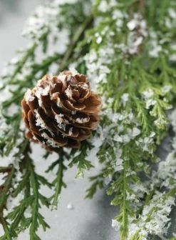 Sullivans Pine & Pinecone Artificial Stem 32"H Green