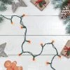 Northlight 50 Count Orange LED G12 Berry Mini Christmas Lights - 15 ft Green Wire