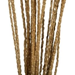 Vickerman 36"-40" Caba Spine Bundle, Dried 24oz -Outdoor Christmas Decorations Sales GUEST e8ea8d07 63f4 4f64 969f c402572eafc0
