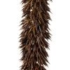 Vickerman Cierus Stem, Dried