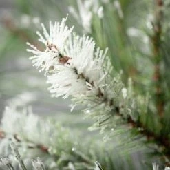 25"H Sullivans Frosted Fuzzy Pine Spray; Green