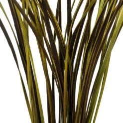 Vickerman 28"-36" Splinter Grass Bundle, 22oz Dried