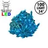 Novelty Lights Inc Novelty Lights LED Christmas String Lights Light Set 100 Mini Bulbs (Green Wire, 34 Feet) -Outdoor Christmas Decorations Sales GUEST f84094f1 c725 4a91 90d0 55e4da79bed0