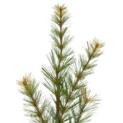Melrose 30" Brown and Green Pine Artificial Christmas Spray