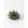 Sullivans Artificial Frosted Arborvitae Orb 7"H Green 2 Sullivans Artificial Frosted Arborvitae Orb 7"H Green -Outdoor Christmas Decorations Sales GUEST fd7f23f8 f0b3 4b4e a639 8d4bbb0dc4af