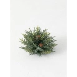 Sullivans Artificial Frosted Arborvitae Orb 7"H Green